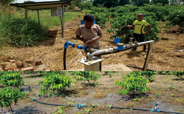 Divinergy delivered their 17kW Solar Irrigation System to the farmer